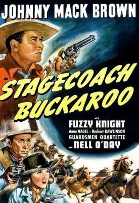 image for  Stagecoach Buckaroo movie