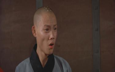 screenshoot for Shaolin Temple