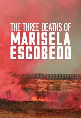 poster for The Three Deaths of Marisela Escobedo 2020