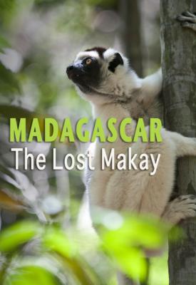 poster for Madagascar: The Lost Makay 2011