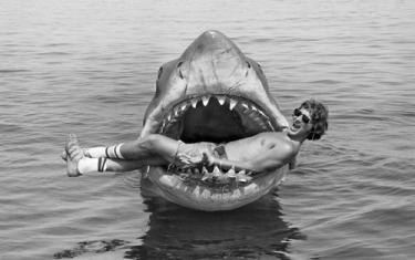 screenshoot for Jaws