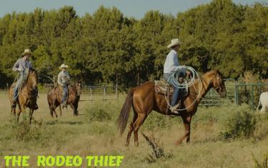 screenshoot for The Rodeo Thief