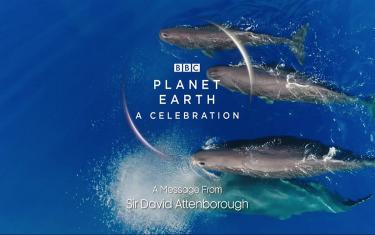 screenshoot for Planet Earth: A Celebration