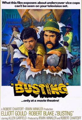 poster for Busting 1974