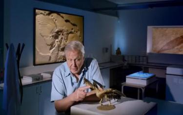 screenshoot for Flying Monsters 3D with David Attenborough