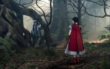 screenshoot for Into the Woods