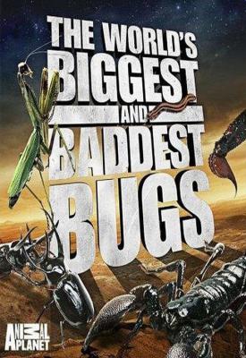poster for World’s Biggest and Baddest Bugs 2009