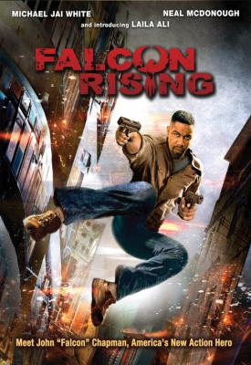 image for  Falcon Rising movie