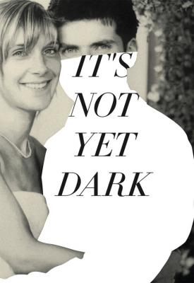 poster for It’s Not Yet Dark 2016