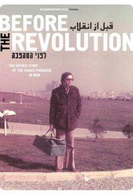 poster for Before the Revolution 2013