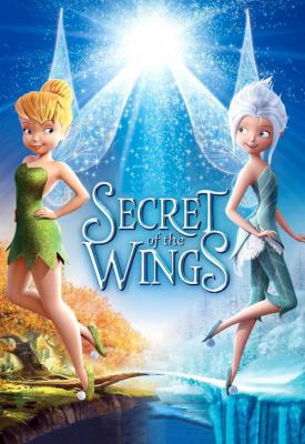 image for  Secret of the Wings movie