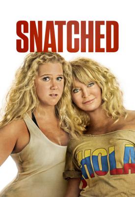 image for  Snatched movie