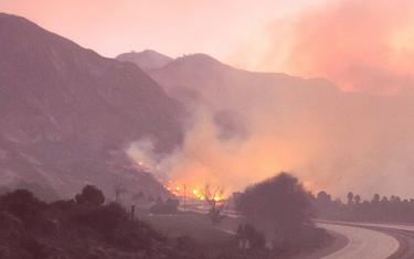 screenshoot for Burning Ojai: Our Fire Story