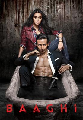 poster for Baaghi 2016