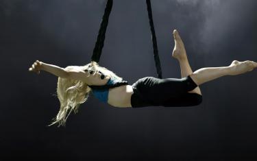 screenshoot for The Aerialist