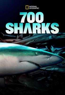 image for  700 requins dans la nuit movie