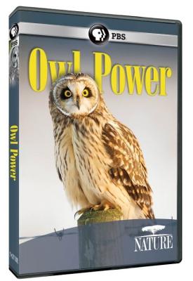 screenshoot for Nature Owl Power