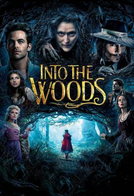 poster for Into the Woods 2014