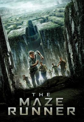 poster for The Maze Runner 2014