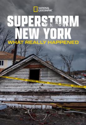 poster for Superstorm New York: What Really Happened 2012