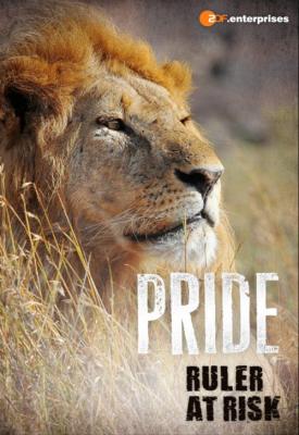 poster for Pride - Ruler’s at Risk 2016