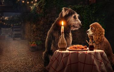 screenshoot for Lady and the Tramp