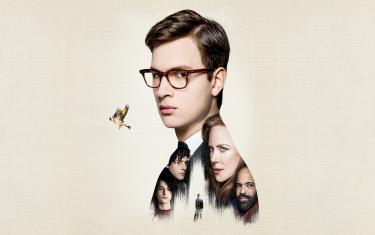 screenshoot for The Goldfinch