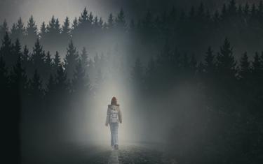 screenshoot for The Girl in the Fog