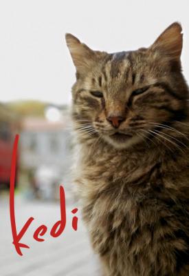 poster for Kedi 2016