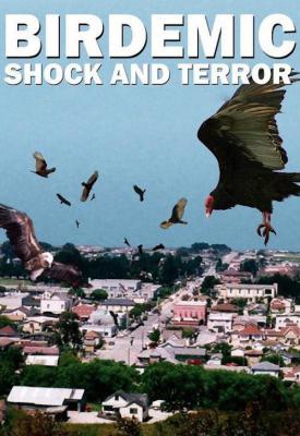 poster for Birdemic: Shock and Terror 2010