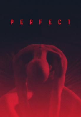 image for  Perfect movie
