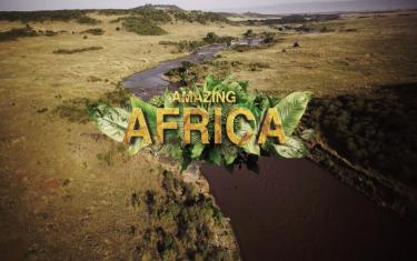 screenshoot for Amazing Africa 3D