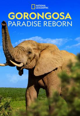 poster for Gorongosa: Paradise Reborn 2022