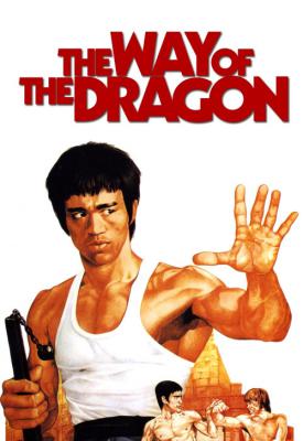 poster for The Way of the Dragon 1972