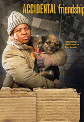 poster for Accidental Friendship 2008