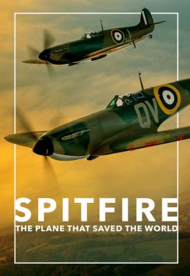 image for  Spitfire movie