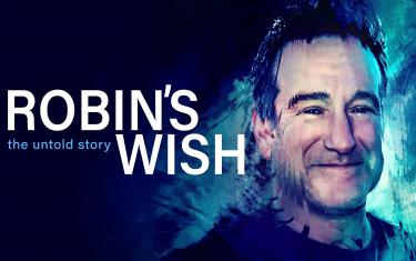 screenshoot for Robin’s Wish