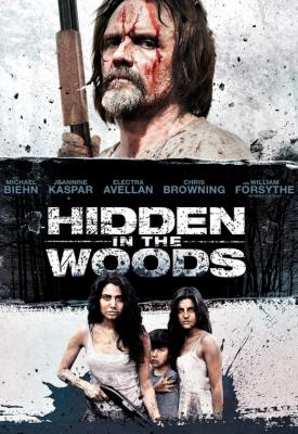 image for  Hidden in the Woods movie