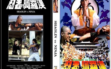 screenshoot for Shaolin vs. Ninja