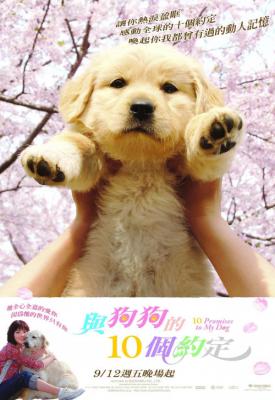 image for  10 Promises to My Dog movie
