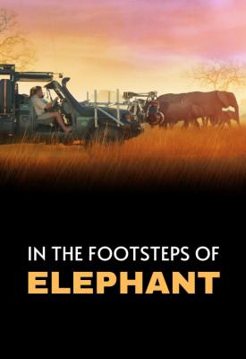 poster for In the Footsteps of Elephant 2020