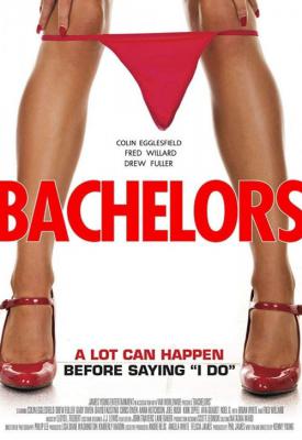 poster for Bachelors 2015