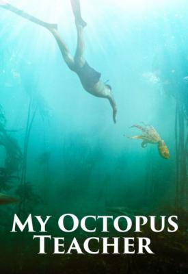 image for  My Octopus Teacher movie