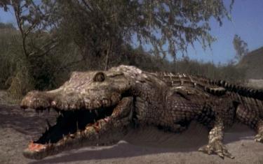 screenshoot for Crocodile