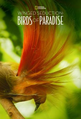 poster for Winged Seduction: Birds of Paradise 2012