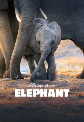 image for  Elephant movie