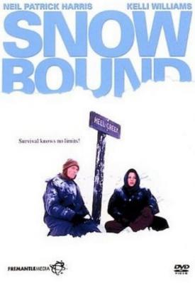 poster for Snowbound 2001