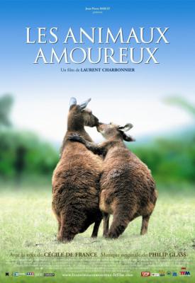 image for  Animals in Love movie