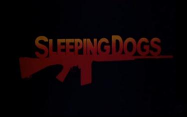 screenshoot for Sleeping Dogs