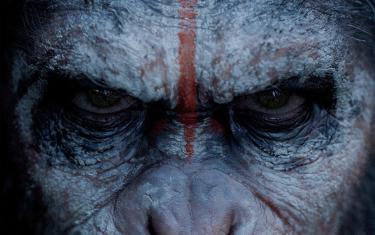 screenshoot for Dawn of the Planet of the Apes